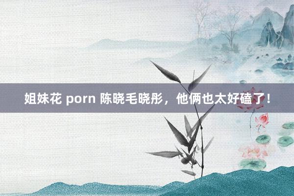 姐妹花 porn 陈晓毛晓彤，他俩也太好磕了！
