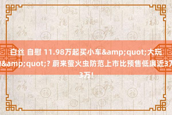 白丝 自慰 11.98万起买小车&quot;大玩物&quot;? 蔚来萤火虫防范上市比预售低廉近3万!
