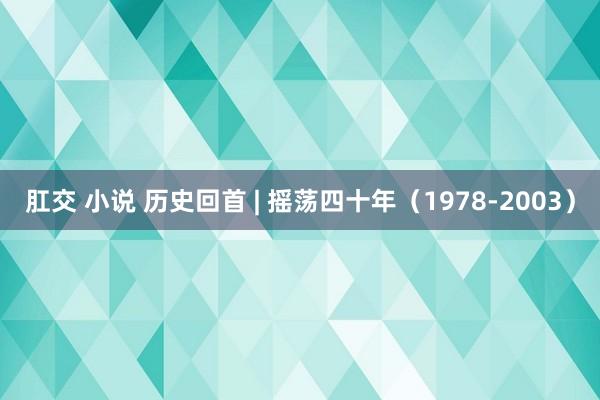 肛交 小说 历史回首 | 摇荡四十年（1978-2003）